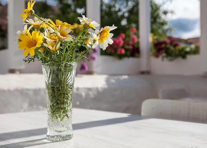 Yukari Sokak Special Category * Alacati